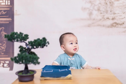 赤壁八个月宝宝零食 赤壁八个月宝宝零食